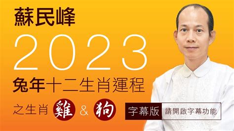 2023虎年佩戴飾物|蘇民峰2023十二生肖兔年增運方法｜加強財運、人緣 